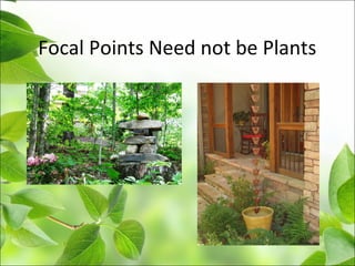 Focal Points Need not be Plants
 