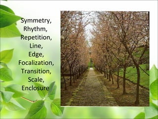 Symmetry,
Rhythm,
Repetition,
Line,
Edge,
Focalization,
Transition,
Scale,
Enclosure
 