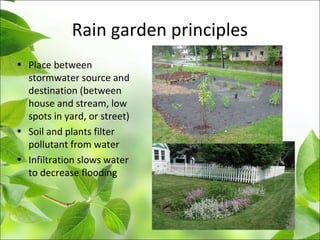 Rain garden principles
• Place between
stormwater source and
destination (between
house and stream, low
spots in yard, or street)
• Soil and plants filter
pollutant from water
• Infiltration slows water
to decrease flooding
 