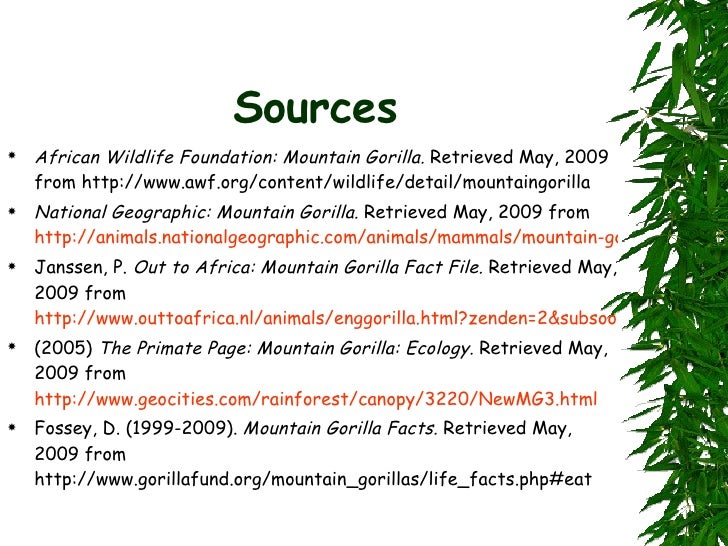 Mountain Gorilla Food Chains