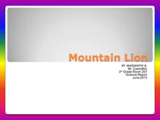 Mountain Lion
By Margarito R.
Mr. Castrellón
3rd Grade Room 207
Science Report
June 2013
 