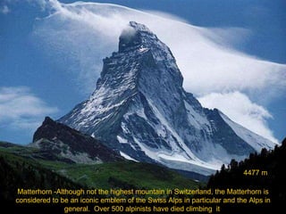 Mountain Majesty