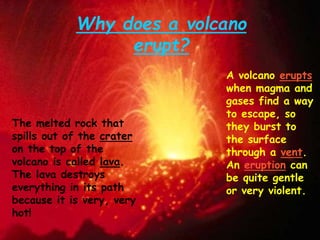 The melted rock that
spills out of the crater
on the top of the
volcano is called lava.
The lava destroys
everything in its path
because it is very, very
hot!
A volcano erupts
when magma and
gases find a way
to escape, so
they burst to
the surface
through a vent.
An eruption can
be quite gentle
or very violent.
Why does a volcano
erupt?
 