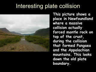 Interesting plate collision
               This picture shows a
               place in Newfoundland
               where a massive
               collision actually
               forced mantle rock on
               top of the crust,
               during the collision
               that formed Pangaea
               and the Appalachian
               mountains. This looks
               down the old plate
               boundary.
 