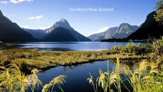Fjordland New Zealand
 