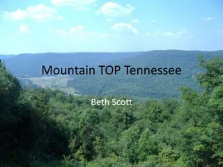Mountain TOP Tennessee

       Beth Scott
 