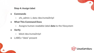 Mount File Systems using UUID and Label - RHCSA (RH134).pdf