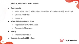 Mount File Systems using UUID and Label - RHCSA (RH134).pdf