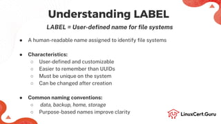 Mount File Systems using UUID and Label - RHCSA (RH134).pdf