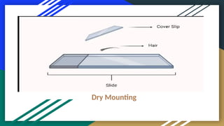 Substrate Mounting Examples Mounting.pptx guhdubruceu dtiwubdr dyheuhhd | PPTX