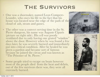 Mount Pelee Survivors