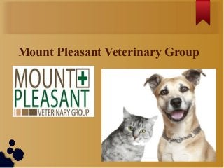 Mount Pleasant Veterinary Group
 
