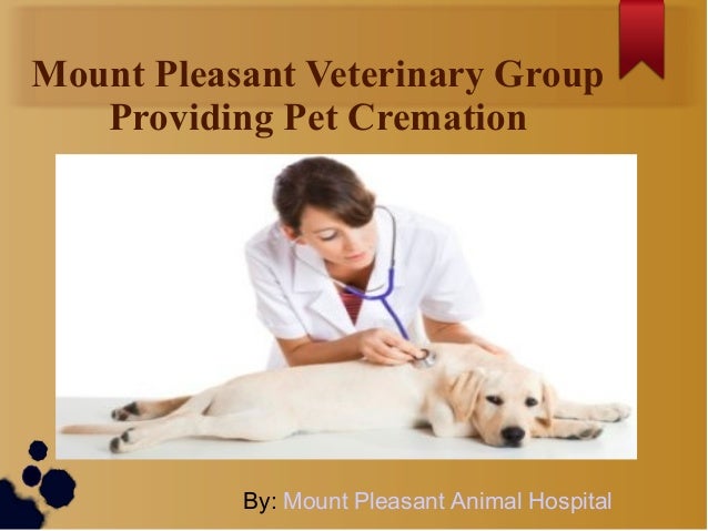 Mount Pleasant Veterinary Group 
