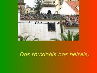 Dos rouxinóis nos beirais, 