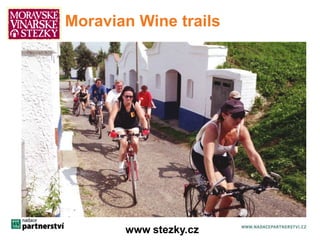 Moravian Wine trails 
www.stezky.cz 
 
