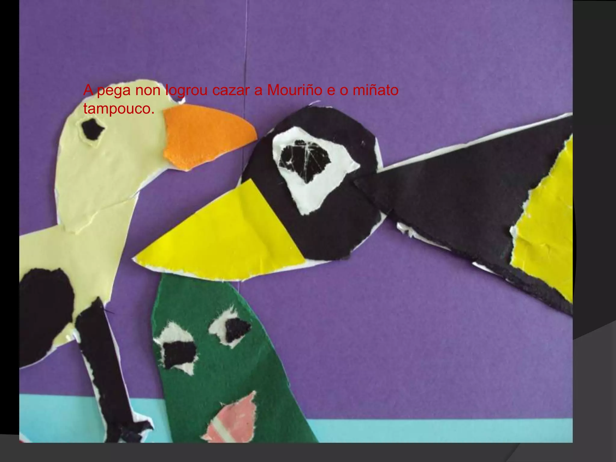 A pega non logrou cazar a Mouriño e o miñato
tampouco.

 