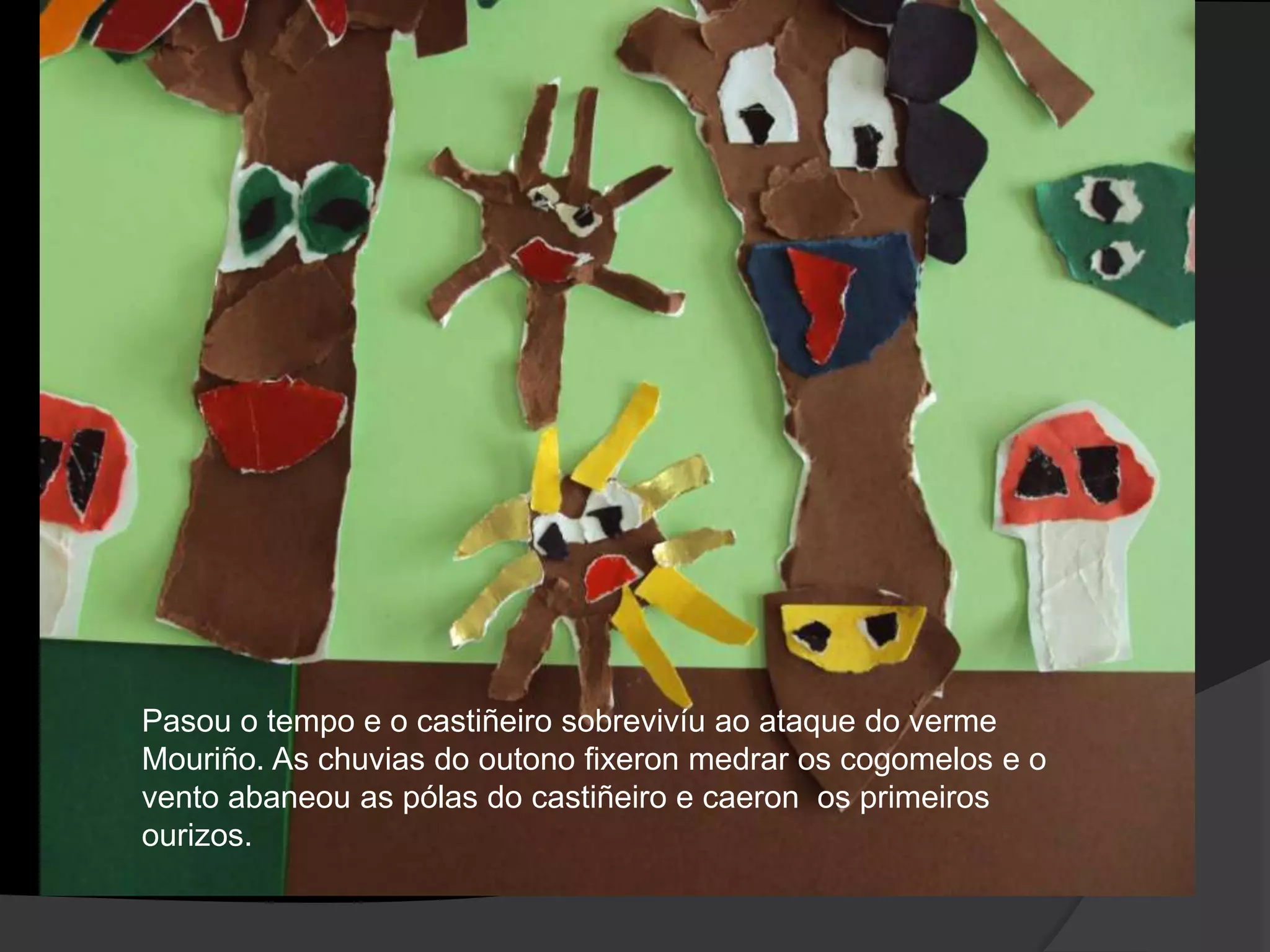 Pasou o tempo e o castiñeiro sobrevivíu ao ataque do verme
Mouriño. As chuvias do outono fixeron medrar os cogomelos e o
vento abaneou as pólas do castiñeiro e caeron os primeiros
ourizos.

 