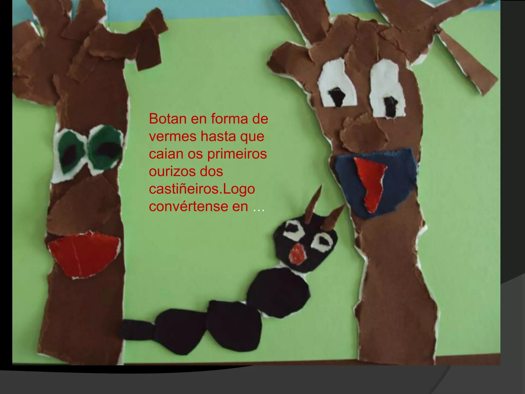 Botan en forma de
vermes hasta que
caian os primeiros
ourizos dos
castiñeiros.Logo
convértense en …

 