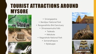 TOURIST ATTRACTIONS AROUND
MYSORE
• Srirangapatna
• Bandipur National Park
• Ranganathittu Bird Sanctuary
• Shivanasamudra Falls
• Talakadu
• Melukote
• Nagarahole National Park
• Somanathapura
• Bylakuppe
 