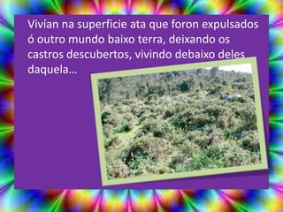 Vivían na superficie ata que foron expulsados
ó outro mundo baixo terra, deixando os
castros descubertos, vivindo debaixo deles
daquela…
 