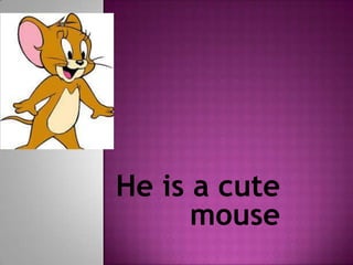 Heisa cute mouse 