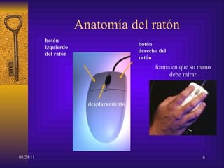 Anatomía del ratón botón derecho del ratón botón izquierdo del ratón desplazamiento forma en que su mano debe mirar 