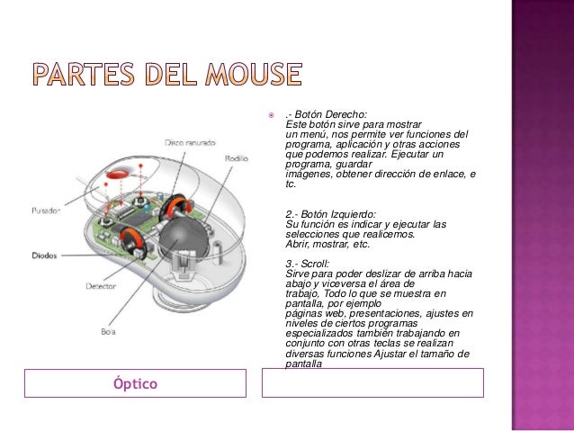 Mouse y sus partes