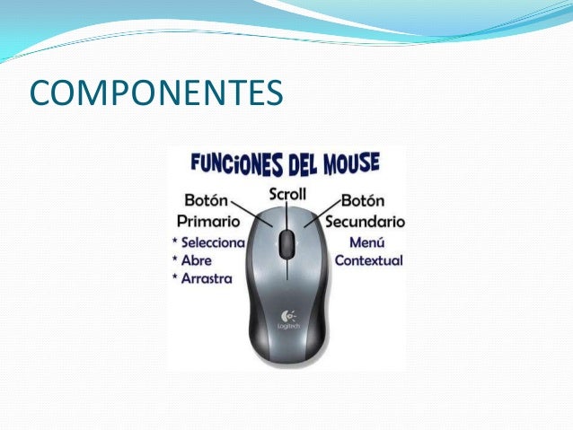 MOUSE