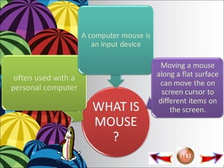 THE MOUSE | PPT