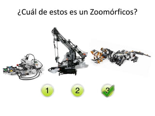 ¿Cuál de estos es un Zoomórficos?