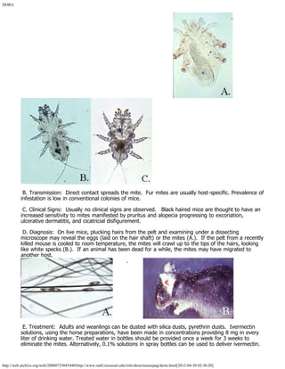 DORA
http://web.archive.org/web/20080725045440/http://www.radil.missouri.edu/info/dora/mousepag/derm.html[2012-04-30 02:30:20]
 B. Transmission:  Direct contact spreads the mite.  Fur mites are usually host-specific. Prevalence of
infestation is low in conventional colonies of mice.
 C. Clinical Signs:  Usually no clinical signs are observed.   Black haired mice are thought to have an
increased sensitivity to mites manifested by pruritus and alopecia progressing to excoriation,
ulcerative dermatitis, and cicatricial disfigurement.
 D. Diagnosis:  On live mice, plucking hairs from the pelt and examining under a dissecting
microscope may reveal the eggs (laid on the hair shaft) or the mites (A.).  If the pelt from a recently
killed mouse is cooled to room temperature, the mites will crawl up to the tips of the hairs, looking
like white specks (B.).  If an animal has been dead for a while, the mites may have migrated to
another host.
        .         
 E. Treatment:  Adults and weanlings can be dusted with silica dusts, pyrethrin dusts.  Ivermectin
solutions, using the horse preparations, have been made in concentrations providing 8 mg in every
liter of drinking water. Treated water in bottles should be provided once a week for 3 weeks to
eliminate the mites. Alternatively, 0.1% solutions in spray bottles can be used to deliver ivermectin.
 