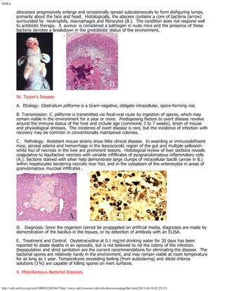 DORA
http://web.archive.org/web/20080222003647/http://www.radil.missouri.edu/info/dora/mousepag/Bac.html[2012-04-30 02:29:35]
abscesses progressively enlarge and occasionally spread subcutaneously to form disfiguring lumps,
primarily about the face and head.  Histologically, the abscess contains a core of bacteria (arrow)
surrounded by  neutrophils, macrophages and fibrocytes (B.).  The condition does not respond well
to antibiotic therapy.  S. aureus  is considered a pathogen in nude mice and the presence of these
bacteria denotes a breakdown in the gnotobiotic status of the environment.
        . 
IX. Tyzzer's Disease
A.  Etiology: Clostridium piliforme is a Gram-negative, obligate intracellular, spore-forming rod.
B. Transmission: C. piliforme is transmitted via fecal-oral route by ingestion of spores, which may
remain viable in the environment for a year or more.  Predisposing factors to overt disease revolve
around the immune status of the host and include age (commonly 3 to 7 weeks), strain of mouse
and physiological stresses.  The incidence of overt disease is rare, but the incidence of infection with
recovery may be common in conventionally maintained colonies.
C.   Pathology:  Resistant mouse strains show little clinical disease.  In weanling or immunodeficient
mice, serosal edema and hemorrhage in the ileocecocolic region of the gut and multiple yellowish-
white foci of necrosis in the liver are prominent lesions.  Histological review of liver sections reveals
coagulative to liquifactive necrosis with variable infifltrates of pyogranulomatous inflammatory cells
(A.). Sections stained with silver help demonstrate large clumps of intracellular bacilli (arrow in B.)
within hepatocytes bordering necrotic liver foci, and in the cytoplasm of the enterocytes in areas of
granulomatous mucosal infiltrates .
        . 
D.   Diagnosis: Since the organism cannot be propagated on artificial media, diagnoses are made by
demonstration of the bacillus in the tissues, or by detection of antibody with an ELISA.
E.  Treatment and Control:  Oxytetracycline at 0.1 mg/ml drinking water for 30 days has been
reported to abate deaths in an epizootic, but is not believed to rid the colony of the infection. 
Depopulation and strict sanitation are the current recommendations for eliminating the disease.  The
bacterial spores are relatively hardy in the environment, and may remain viable at room temperature
for as long as 1 year. Temperatures exceeding boiling (from autoclaving) and dilute chlorox
solutions (1%) are capable of killing spores on inert surfaces.
X. Miscellaneous Bacterial Diseases
 