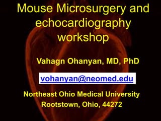 Mouse Microsurgery and 
echocardiography 
workshop 
Vahagn Ohanyan, MD, PhD 
vohanyan@neomed.edu 
Northeast Ohio Medical University 
Rootstown, Ohio, 44272 
 