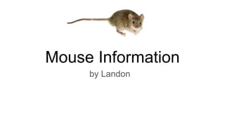 Mouse Information
by Landon
 