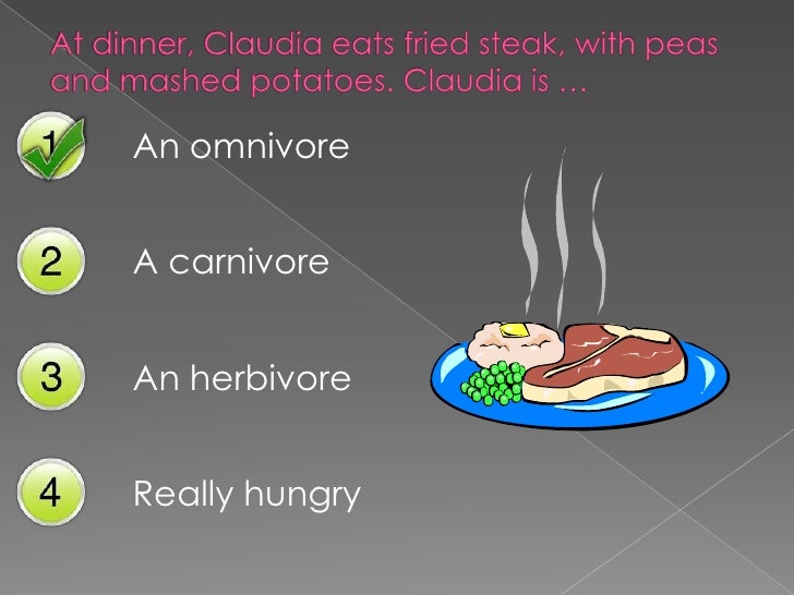 is a mouse a carnivore herbivore or omnivore
