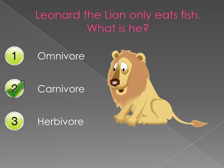 is a mouse a carnivore herbivore or omnivore