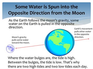 Some Water is Spun into the
Opposite Direction from the Moon
As the Earth follows the moon’s gravity, some
water on the Earth is pulled in the opposite
direction.                                   Earth’s movement
                                               pulls other water
                                               in the opposite
  Moon’s gravity                               direction.
  pulls some water
  toward the moon.




Where the water bulges are, the tide is high.
Between the bulges, the tide is low. That’s why
there are two high tides and two low tides each day.
 