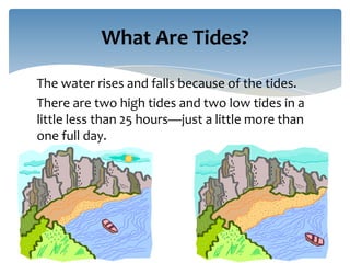 What Are Tides?

The water rises and falls because of the tides.
There are two high tides and two low tides in a
little less than 25 hours—just a little more than
one full day.
 
