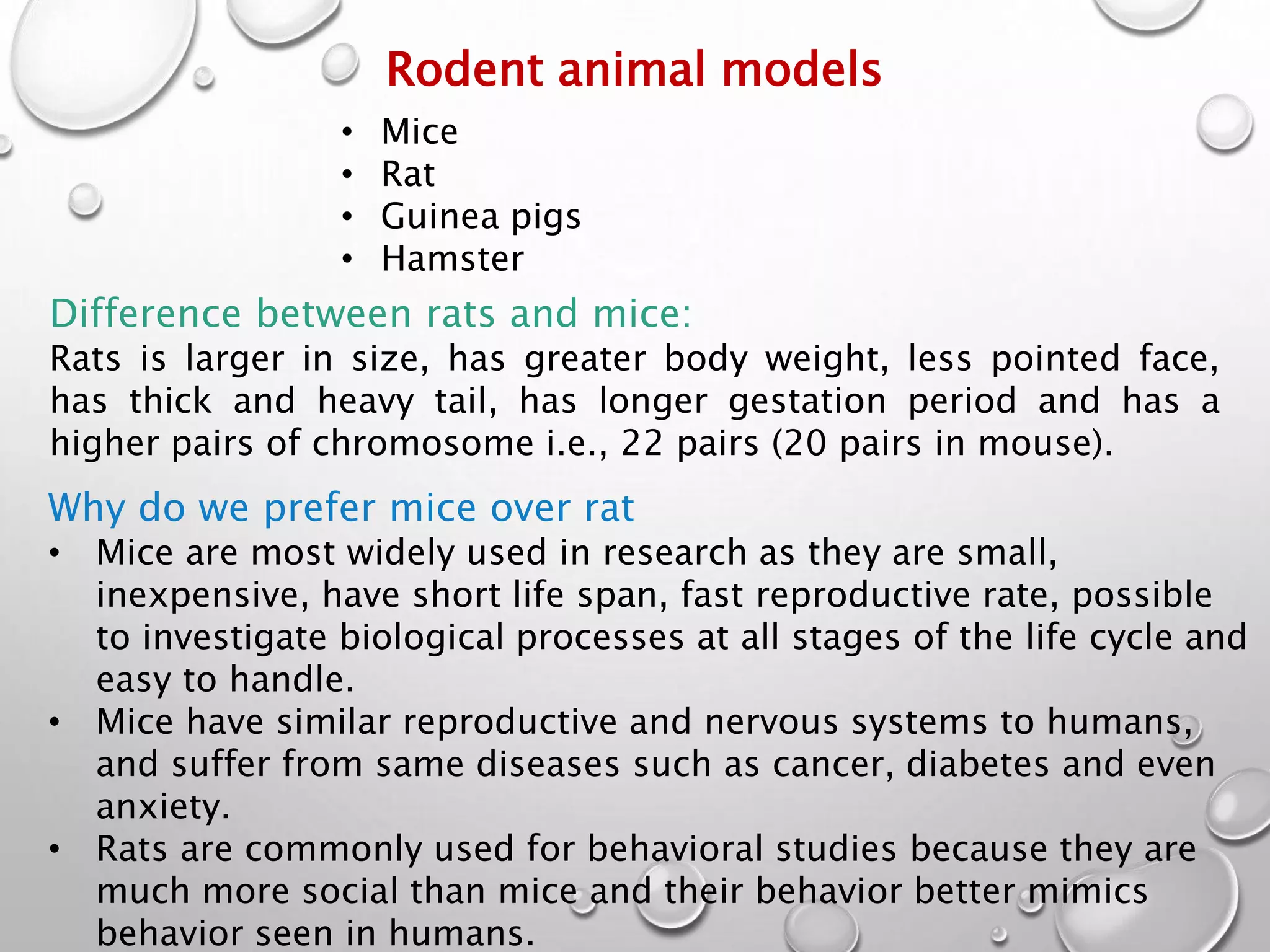 Rodent animal models
• Mice
• Rat
• Guinea pigs
• Hamster
Difference between rats and mice:
Rats is larger in size, has greater body weight, less pointed face,
has thick and heavy tail, has longer gestation period and has a
higher pairs of chromosome i.e., 22 pairs (20 pairs in mouse).
Why do we prefer mice over rat
• Mice are most widely used in research as they are small,
inexpensive, have short life span, fast reproductive rate, possible
to investigate biological processes at all stages of the life cycle and
easy to handle.
• Mice have similar reproductive and nervous systems to humans,
and suffer from same diseases such as cancer, diabetes and even
anxiety.
• Rats are commonly used for behavioral studies because they are
much more social than mice and their behavior better mimics
behavior seen in humans.
 