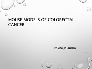 MOUSE MODELS OF COLORECTAL
CANCER
Rekha Jalandra
 