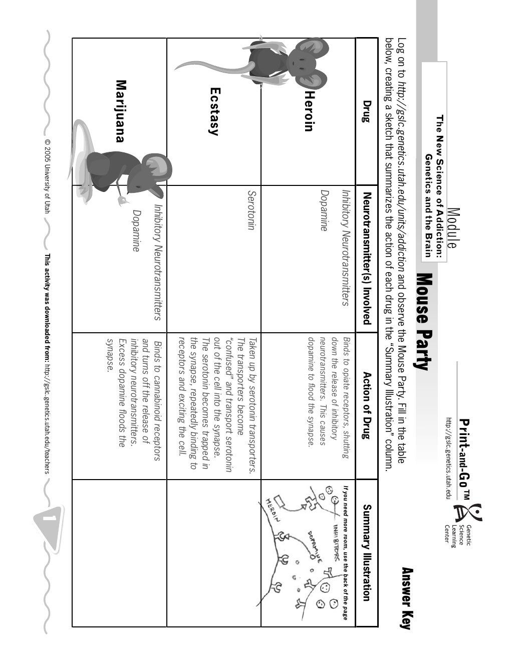Mouse Party Worksheet Answers Mouse Party Worksheet Answers
