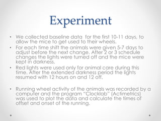 Clock Lab Data Collection Circadian Activity in Mice | PPTX