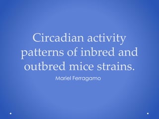 Circadian activity
patterns of inbred and
outbred mice strains.
Mariel Ferragamo
 