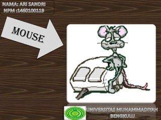 Mouse
 