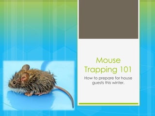 Mouse
Trapping 101
How to prepare for house
   guests this winter.
 