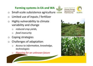 Farms-of-the-Future approach to accelerating climate change adaptation: case study from CCAFS in East and West Africa 