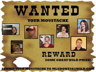 YOUR MOUSTACHE




                    SOME GREAT WILD PRIZES!

SUBMIT YOUR MOUSTACHE TO MLUDOWESE@WILD.COM
 