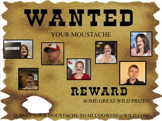 YOUR MOUSTACHE




                      SOME GREAT WILD PRIZES!

SUBMIT YOUR MOUSTACHE TO MLUDOWESE@WILD.COM
 