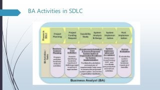 BA Activities in SDLC
 