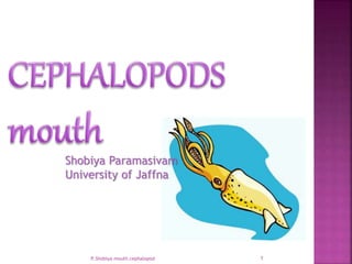 1P.Shobiya.mouth.cephalopod
Shobiya Paramasivam
University of Jaffna
 